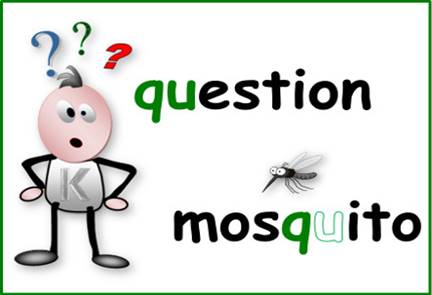 Q sound: question mosquito